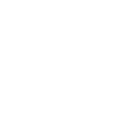 qury digital